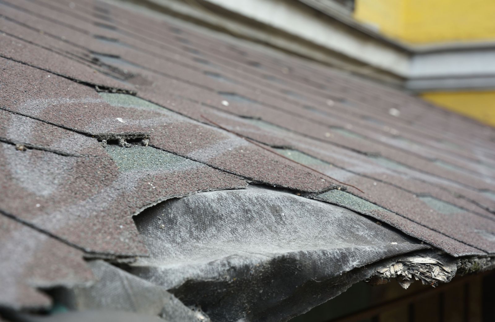 Adams Roofing & Construction LLC Images